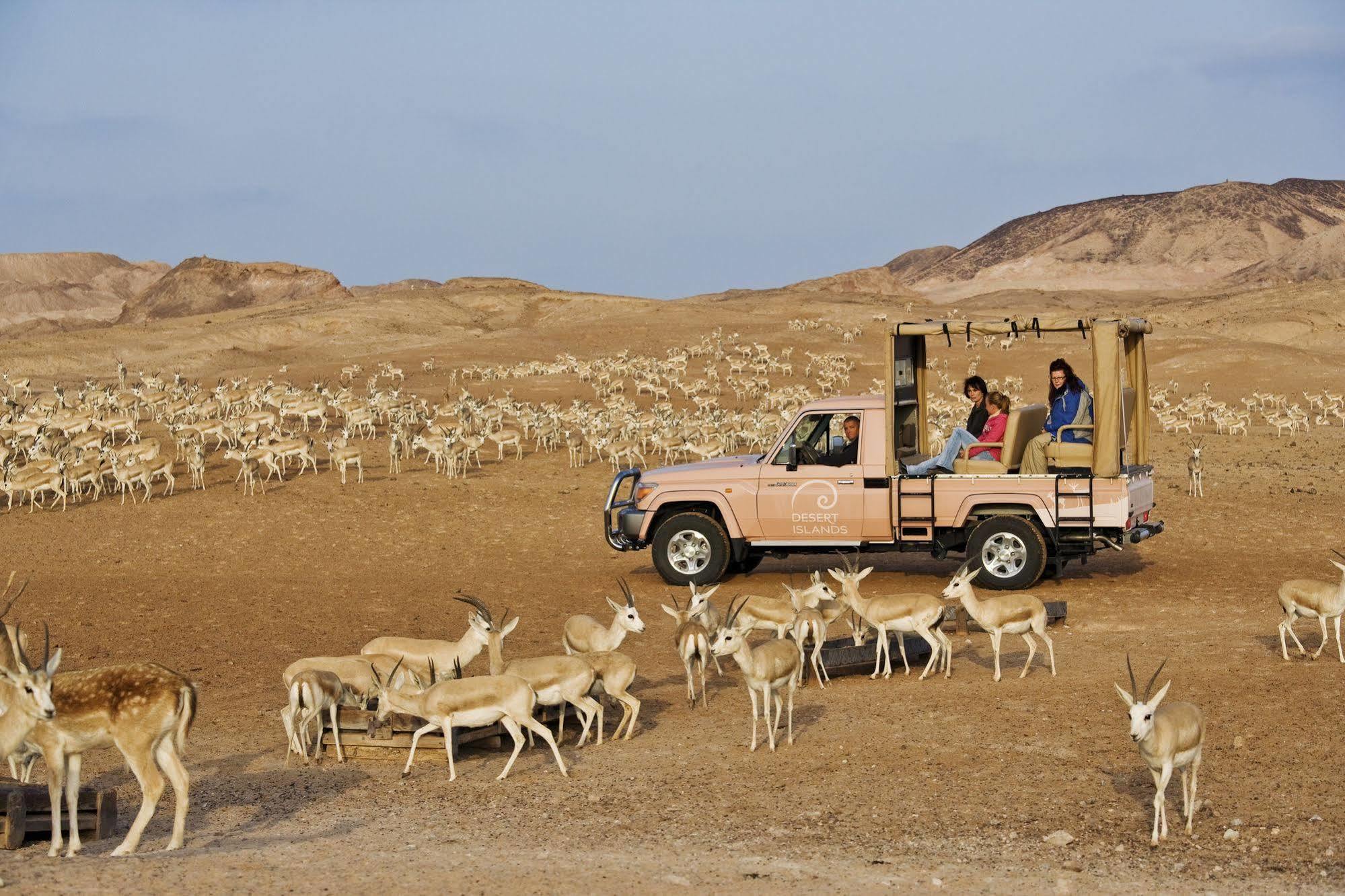 Anantara Sir Bani Yas Island Al Sahel Villas Zahr Eksteriør bilde