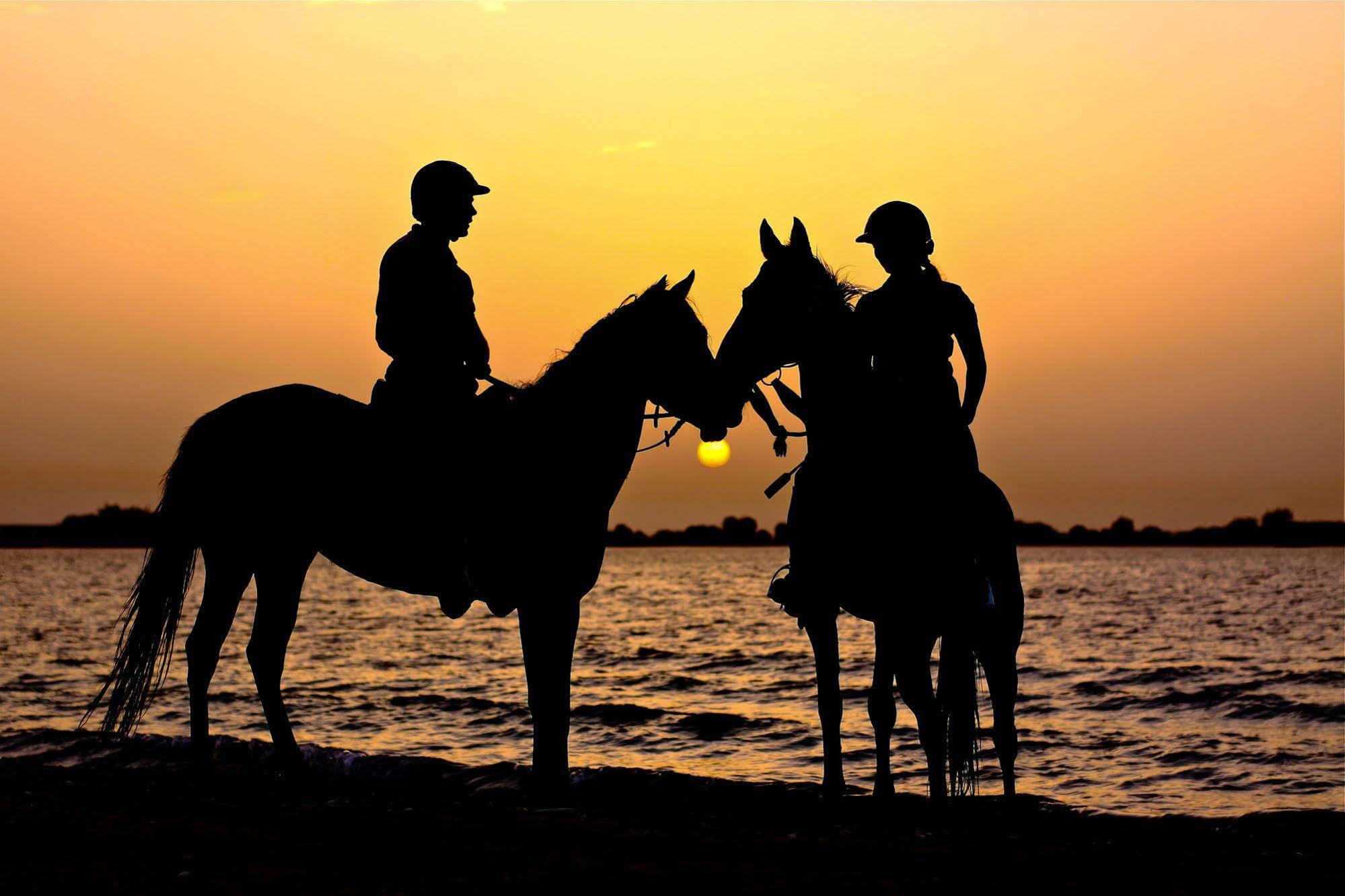 Anantara Sir Bani Yas Island Al Sahel Villas Zahr Eksteriør bilde