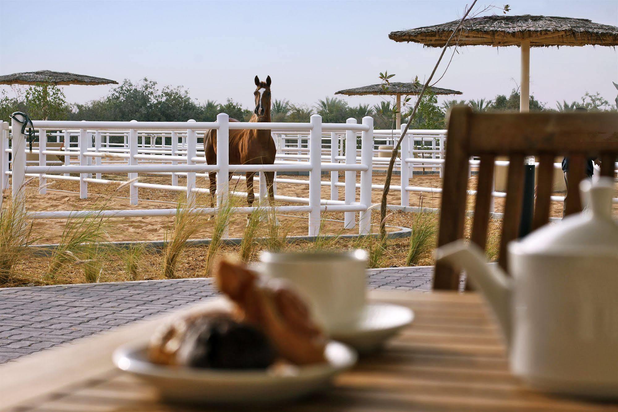 Anantara Sir Bani Yas Island Al Sahel Villas Zahr Eksteriør bilde