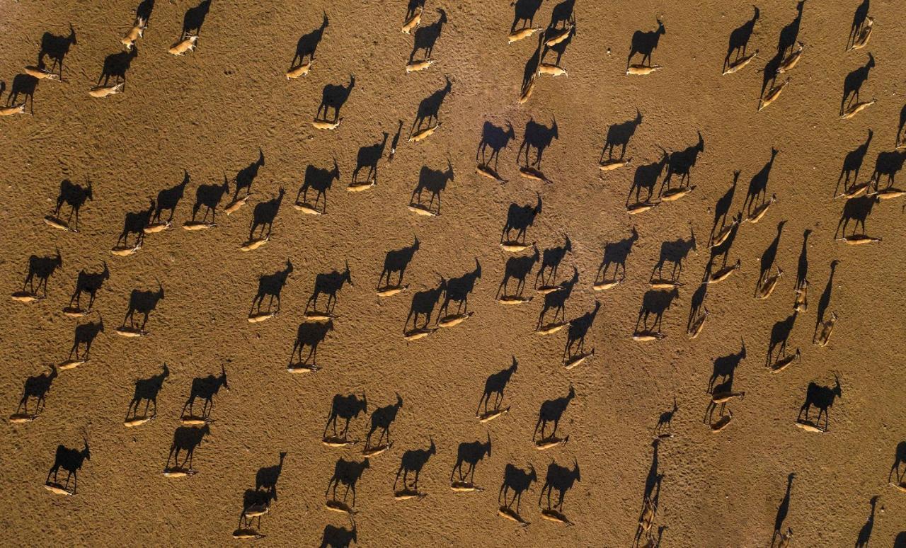 Anantara Sir Bani Yas Island Al Sahel Villas Zahr Eksteriør bilde
